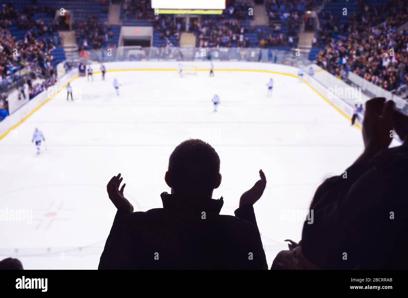 Hockey fan standing and applause on the stadium in after goal - sport, wallpaper.. Stock Photo