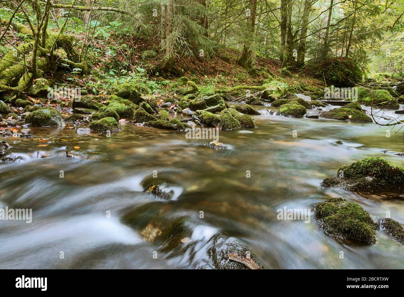 beautiful mountain stream in autumn season, Rachitele, Apuseni mountains, Romania Stock Photo