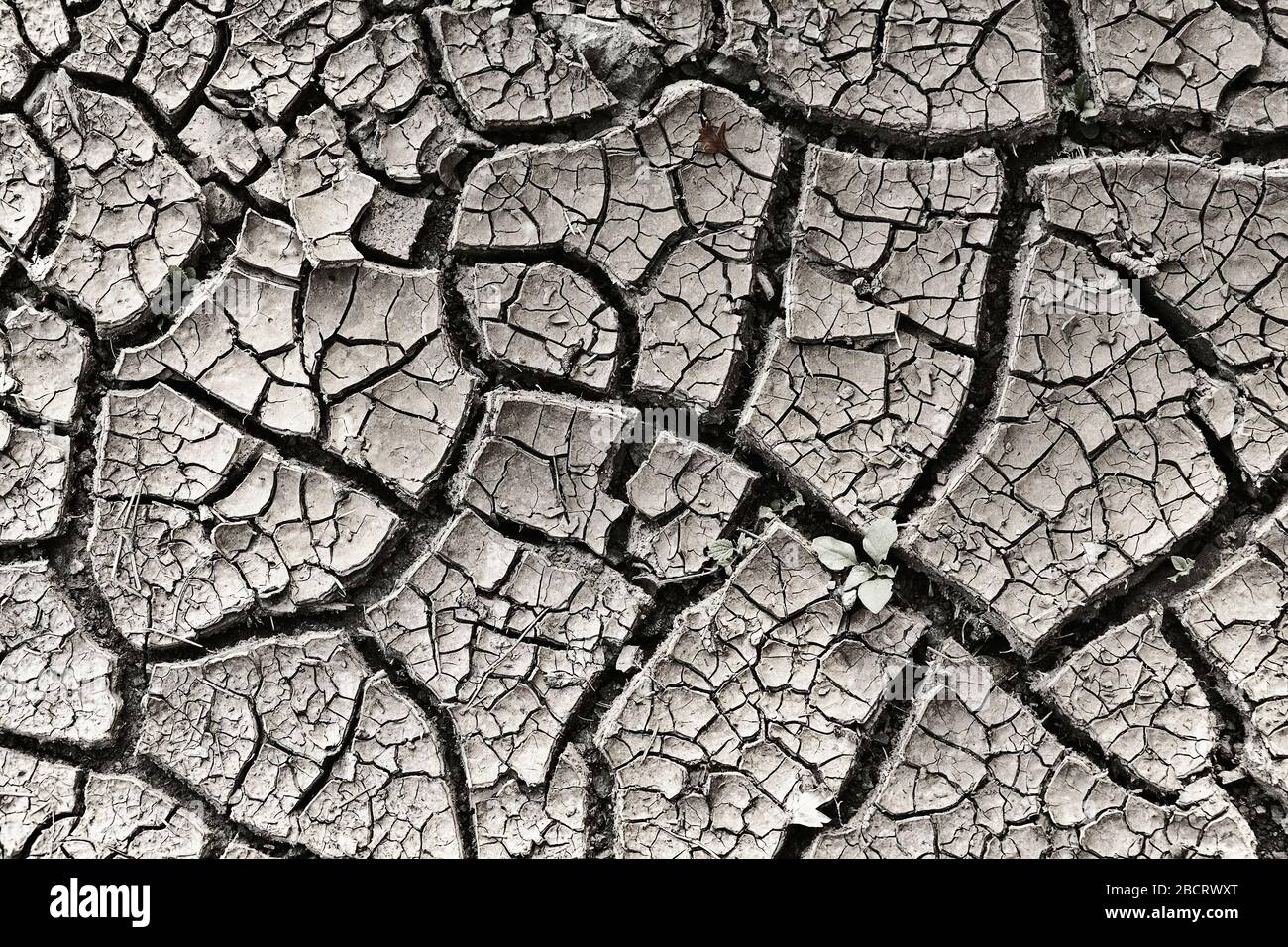 cracked soil surface after drought, image taken in middle summer Stock Photo