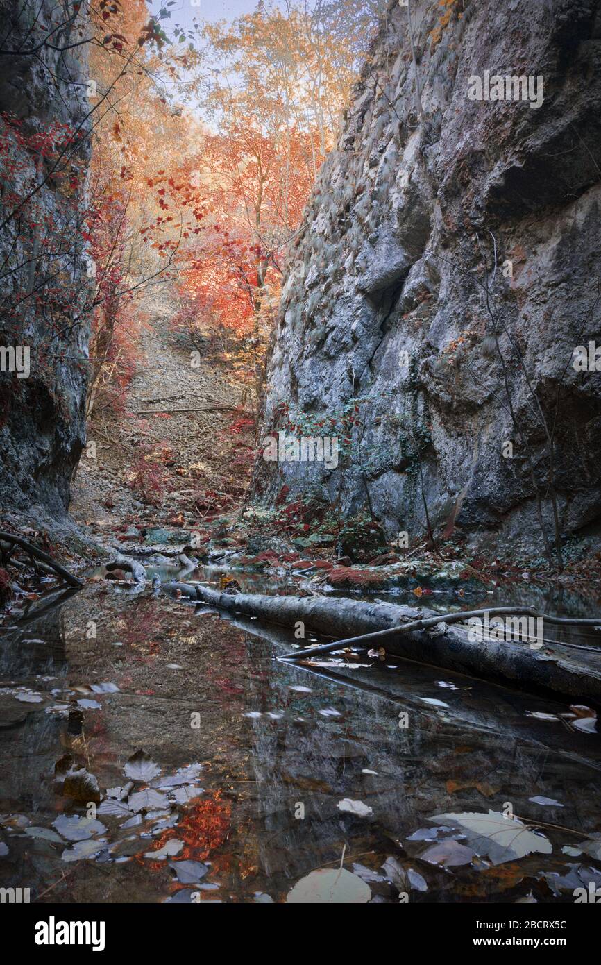 detail of nerei gorge in fall season, Cheile Nerei Beusnita Romania Stock Photo