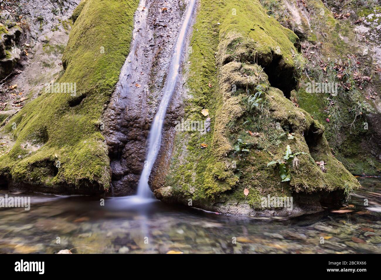 detail of susara waterfallin beusnita cheile nerei national park, Romania Stock Photo