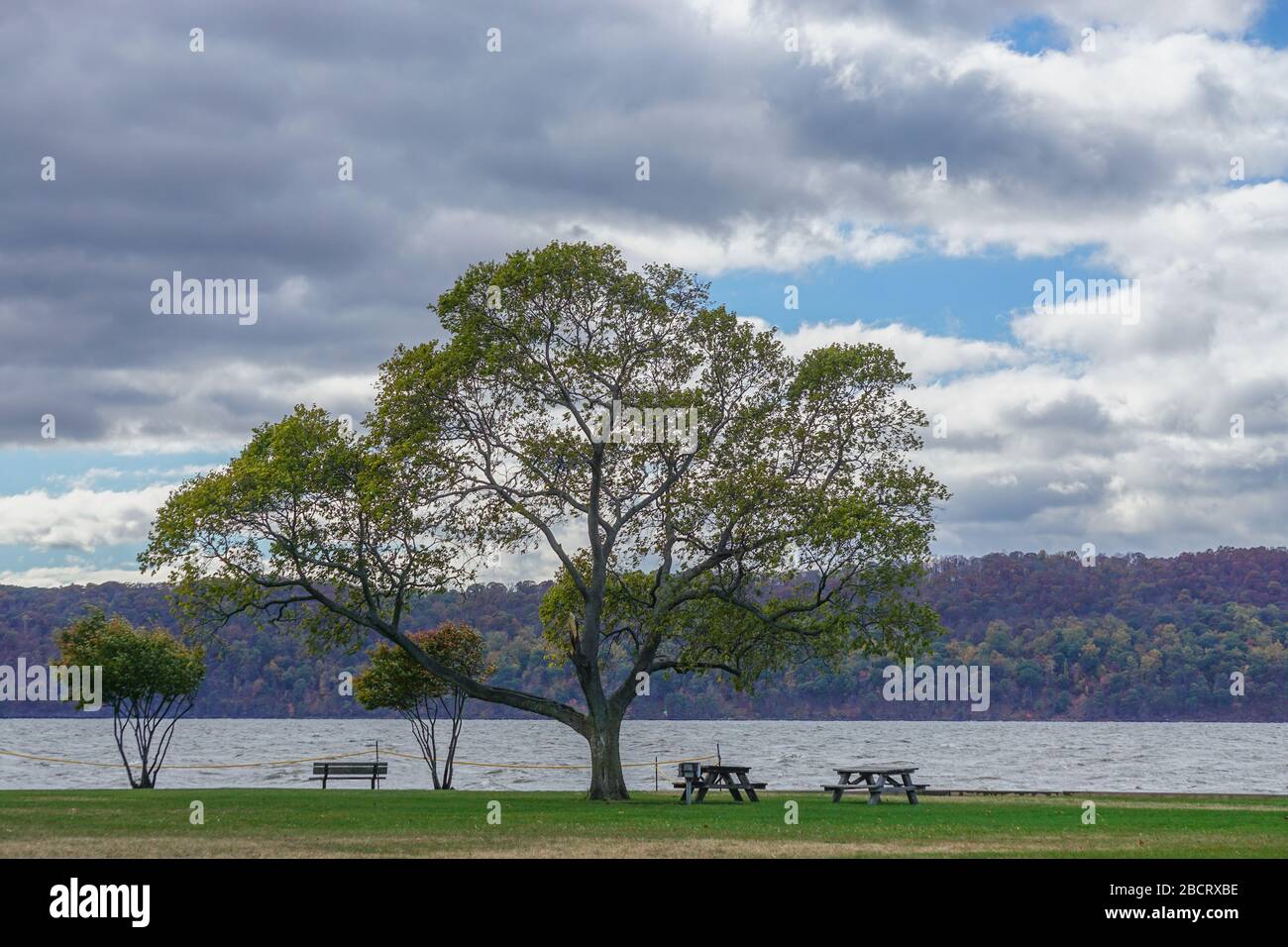 CrotononHudson, New York, USA Trees and picnic tables along the Hudson River in Westchester