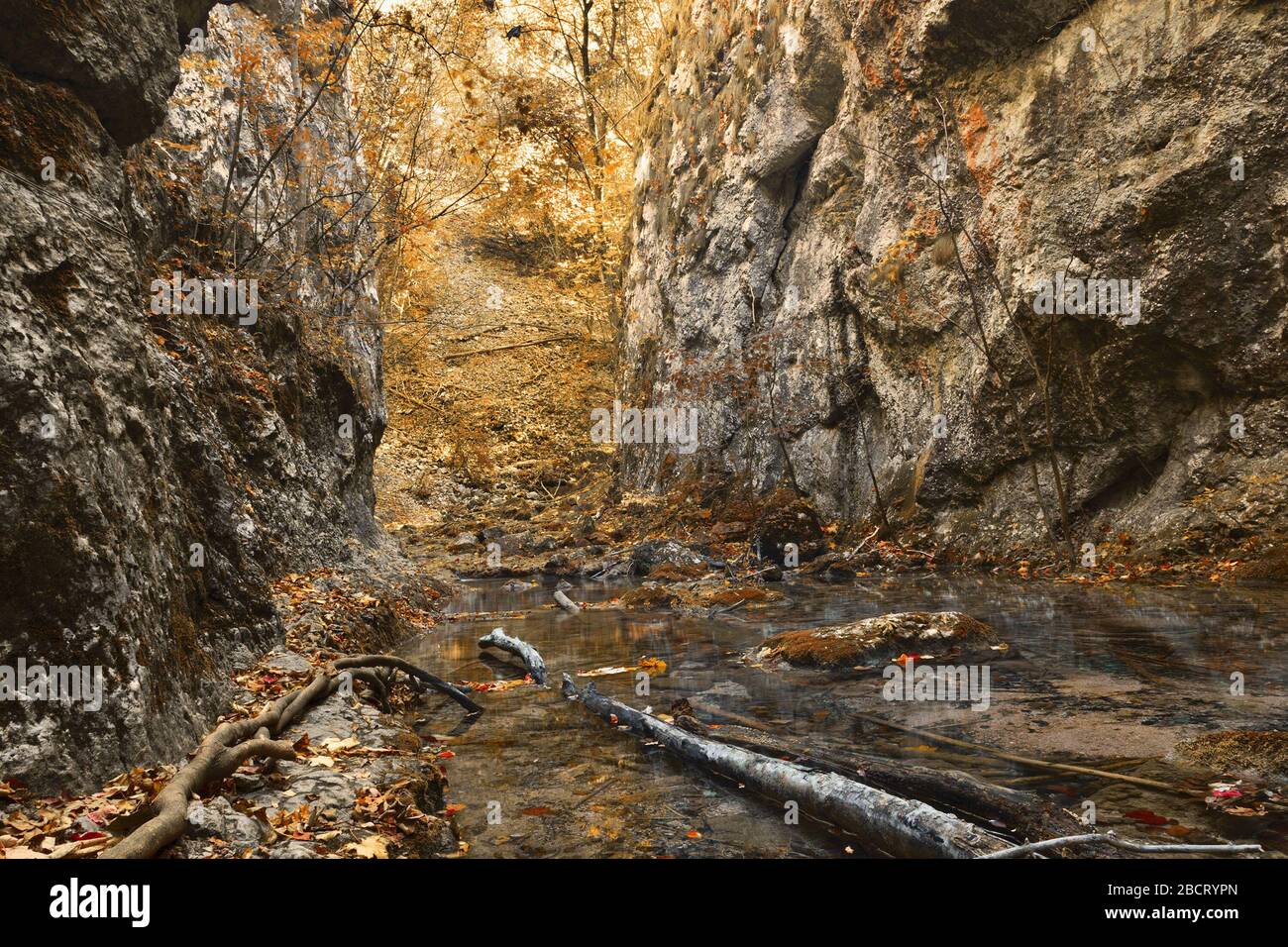 view of susara gorges in fall season, Caransebes, Romania Stock Photo