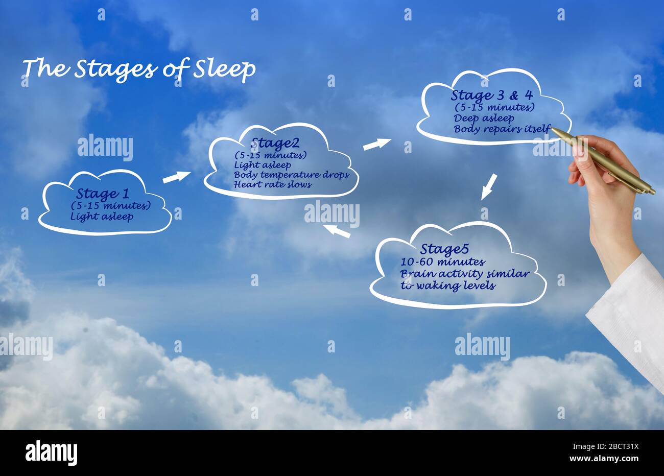 Four Stages of Normal Sleep Stock Photo Alamy