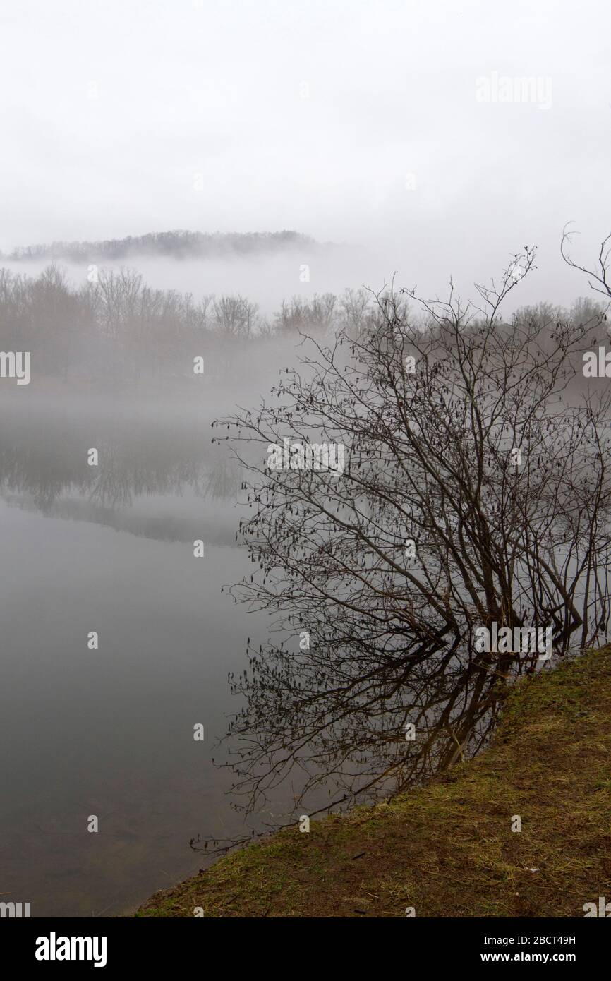 A ghostly winter mist covers a mountain lake in muted colors and stark silhouettes Stock Photo