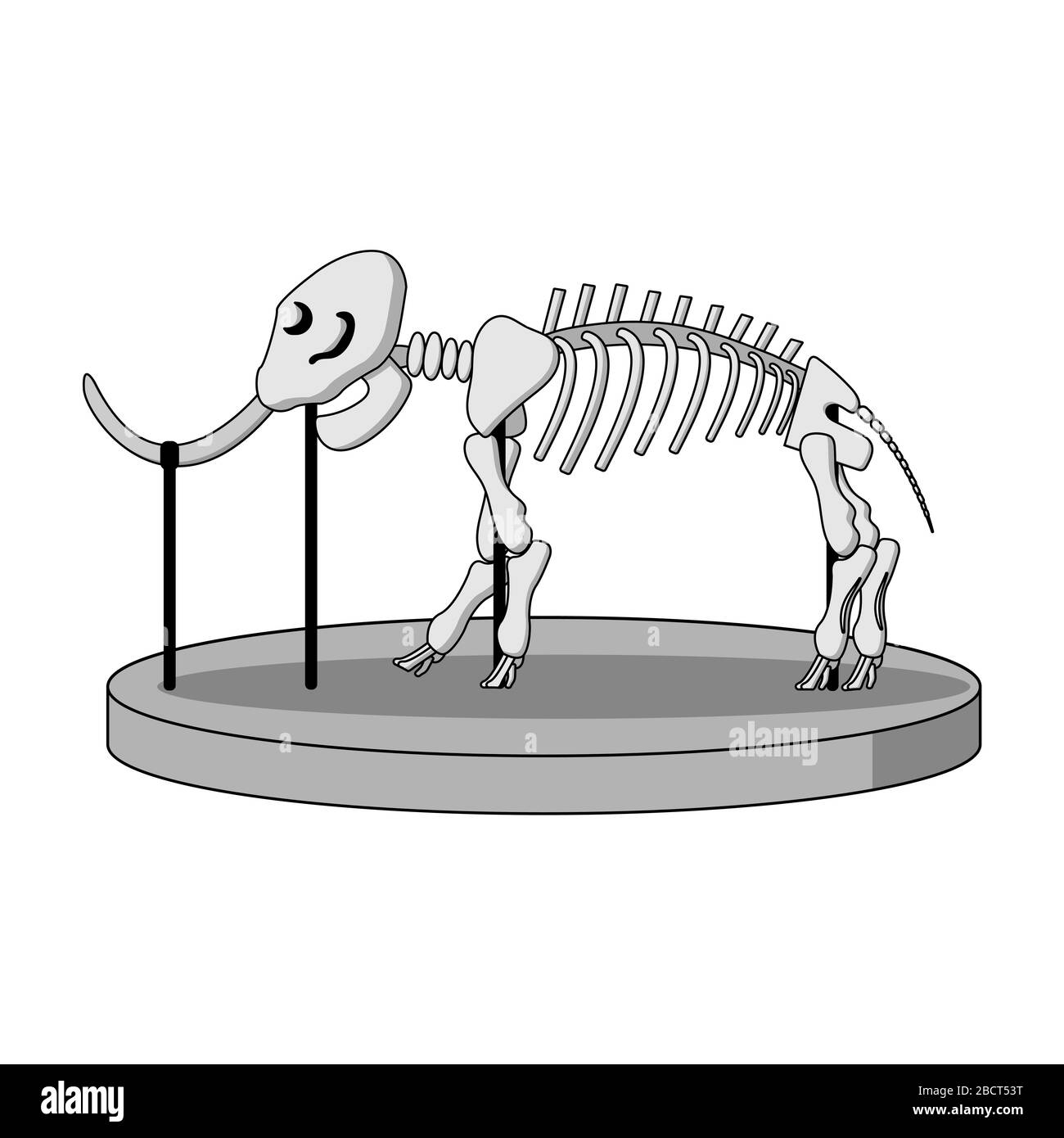 cartoon skeleton of mammoth on paleontology in museum of prehistory. white background isolated stock vector illustration Stock Vector