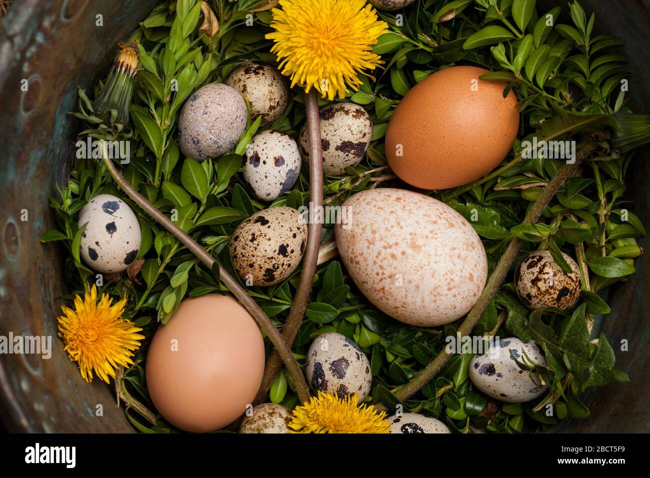 Vintage chicken,turkey and quail eggs in a copper bowl. Easter concept. Stock Photo