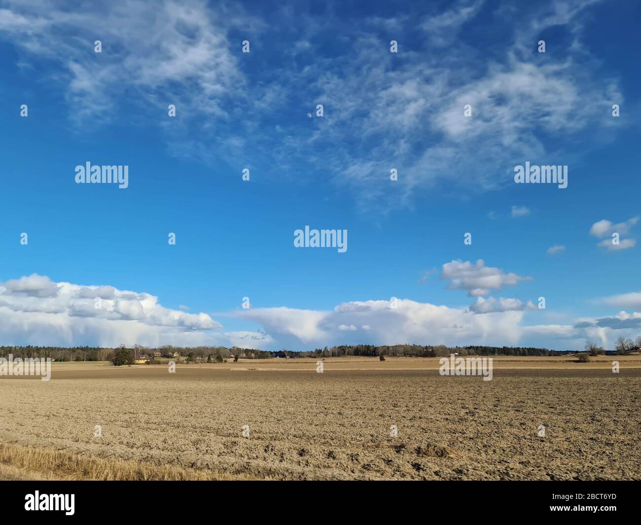 Beautiful landscape view with fields, forest trees and blue sky with ...