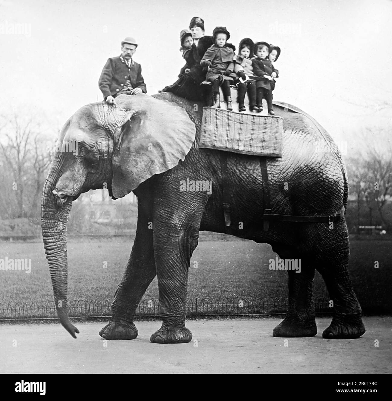 Jumbo the elephant hires stock photography and images Alamy