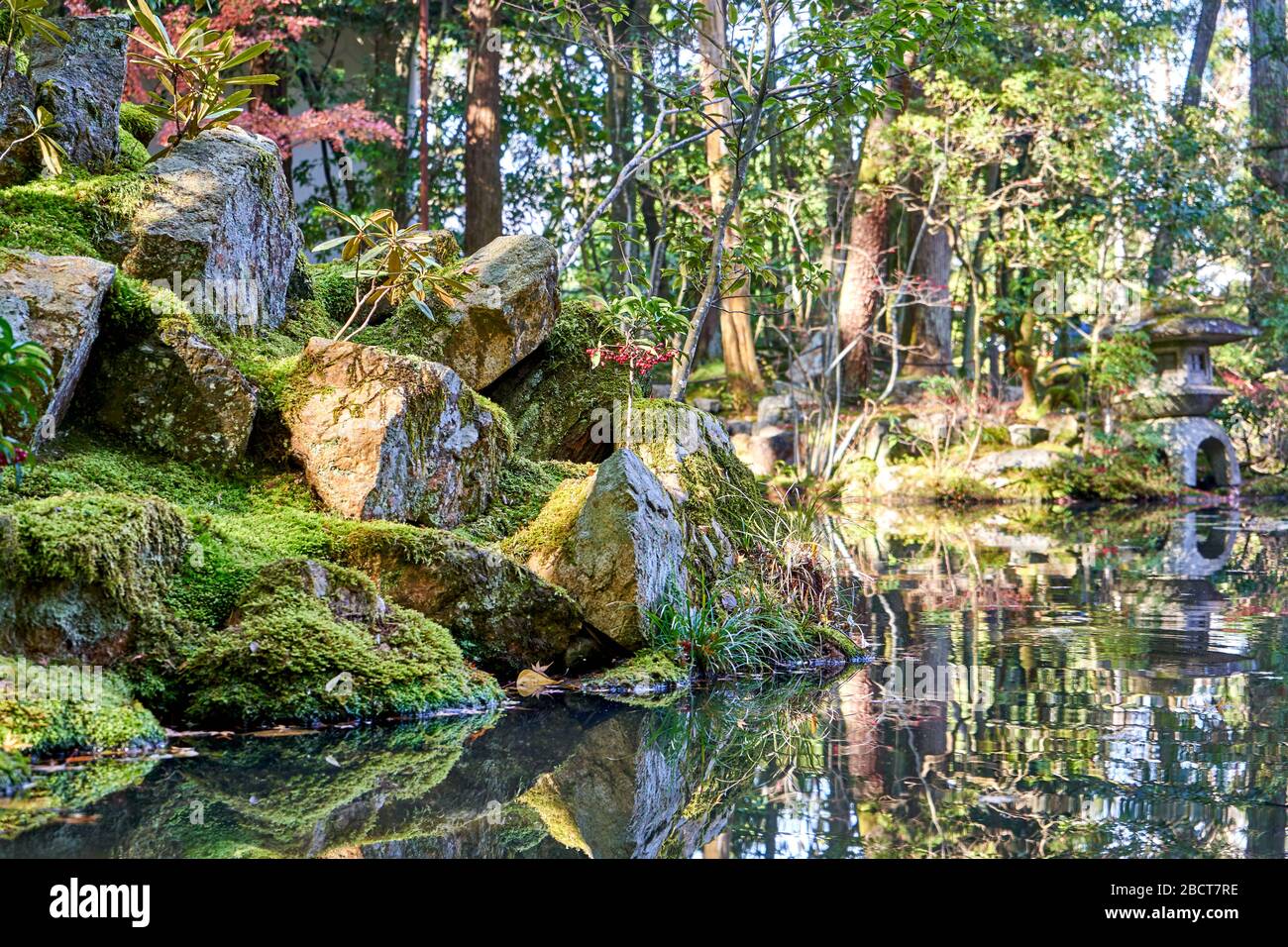 Stones covered in moss reflecting on pond surface Stock Photo