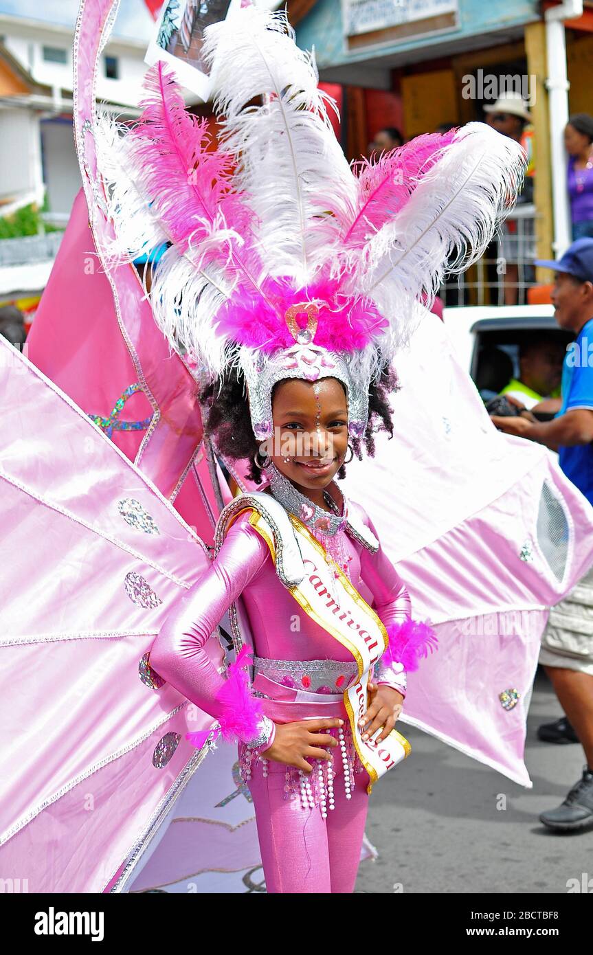 Portrait of a Carnival princess 2014 in a pink costume with wings. Stock Photo