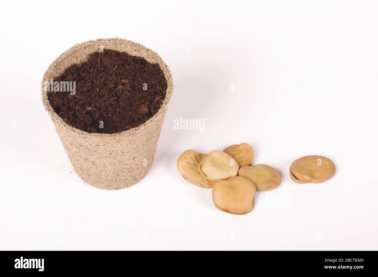 Concept of agriculture in which you can see seeds, heap of soil and peat pots Stock Photo