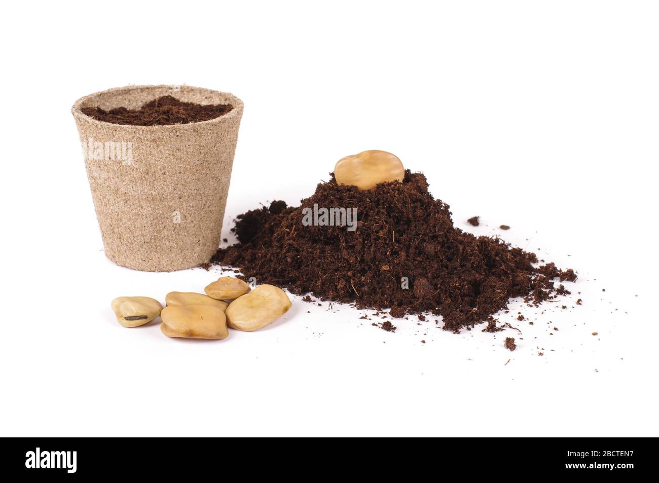 Concept of agriculture in which you can see seeds, heap of soil and peat pots Stock Photo