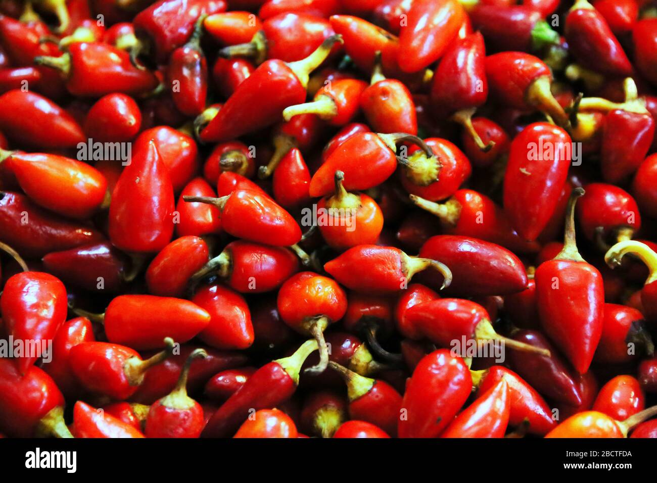 Pile of fresh ripe chili peppers for sale in vegetables market as ...