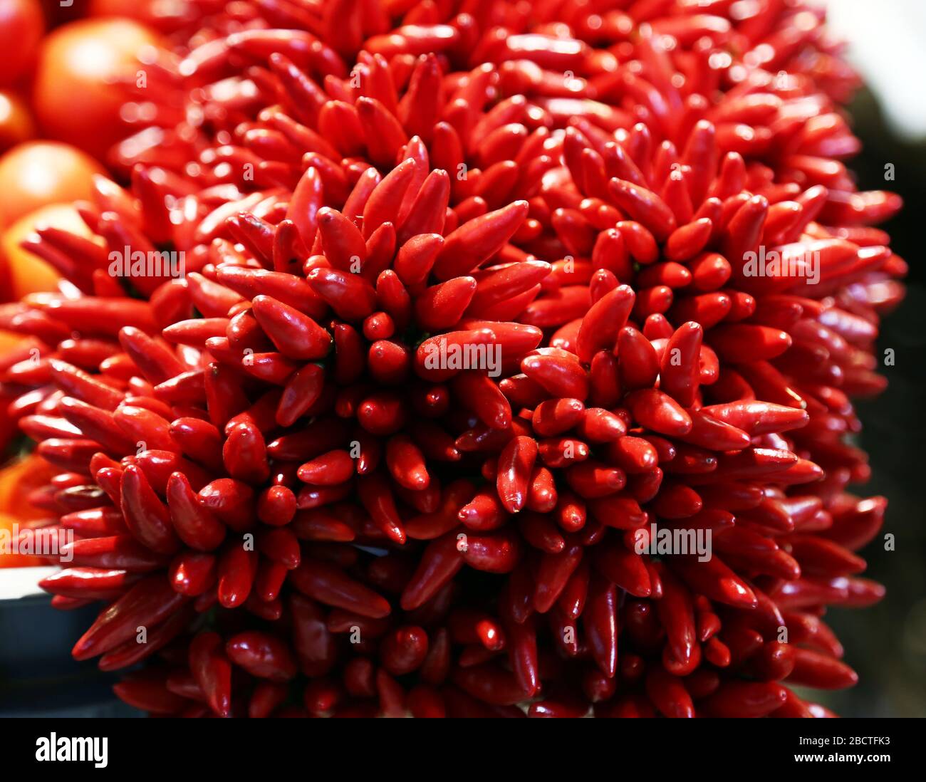 Pile of fresh ripe chili peppers for sale in vegetables market as ...
