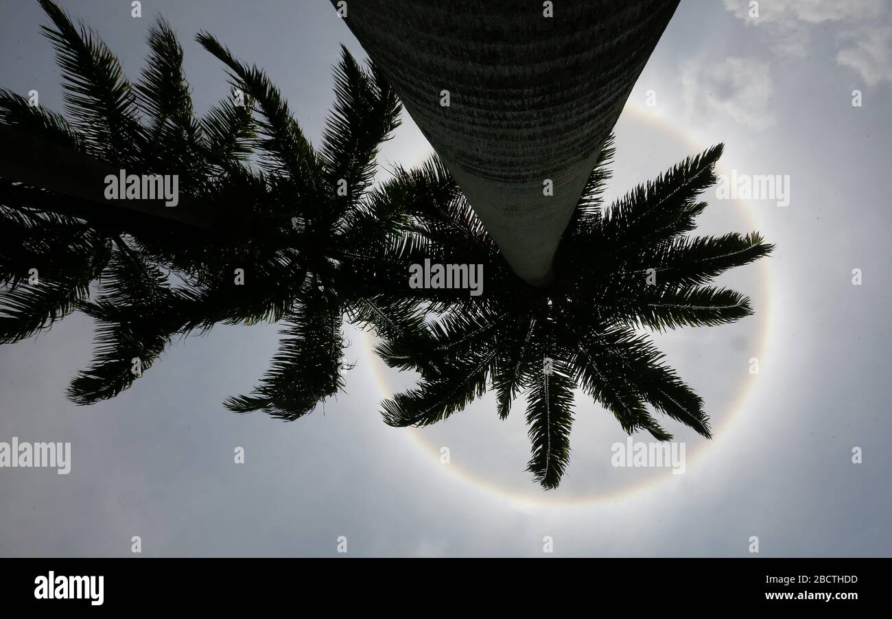 Rey Hernandez High Resolution Stock Photography And Images Alamy