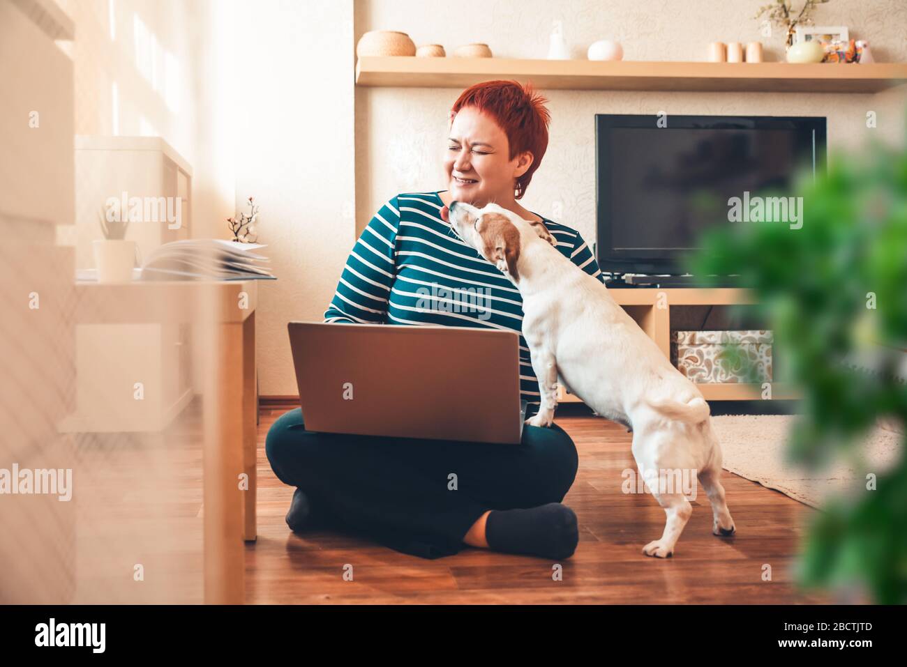 Woman works online using laptop computer, dog interferes. Quarantine coronavirus Stock Photo