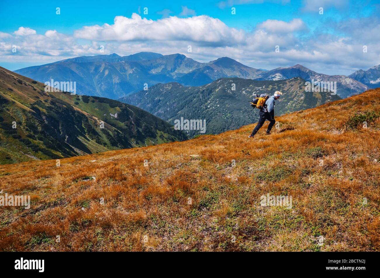Trail runner on mountains meadow. Beautiful hills in background. Scenery, adventure, athletics sport concept photo Stock Photo