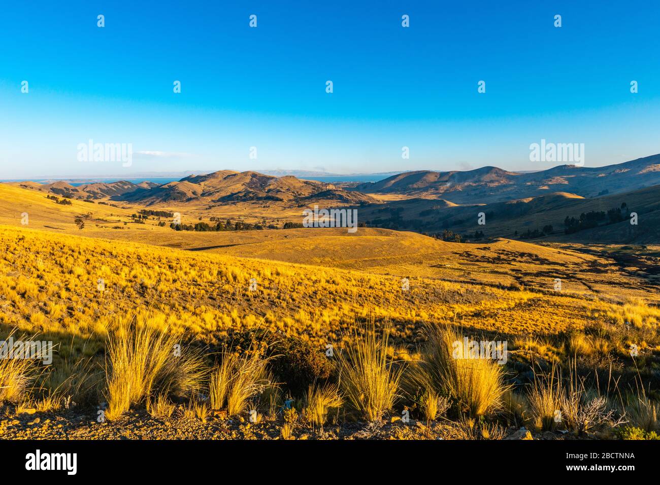 Rural countryside on the peninsula Copacabana at an altitude of around 4,000m, Department La Paz, Bolivia, Latin America Stock Photo