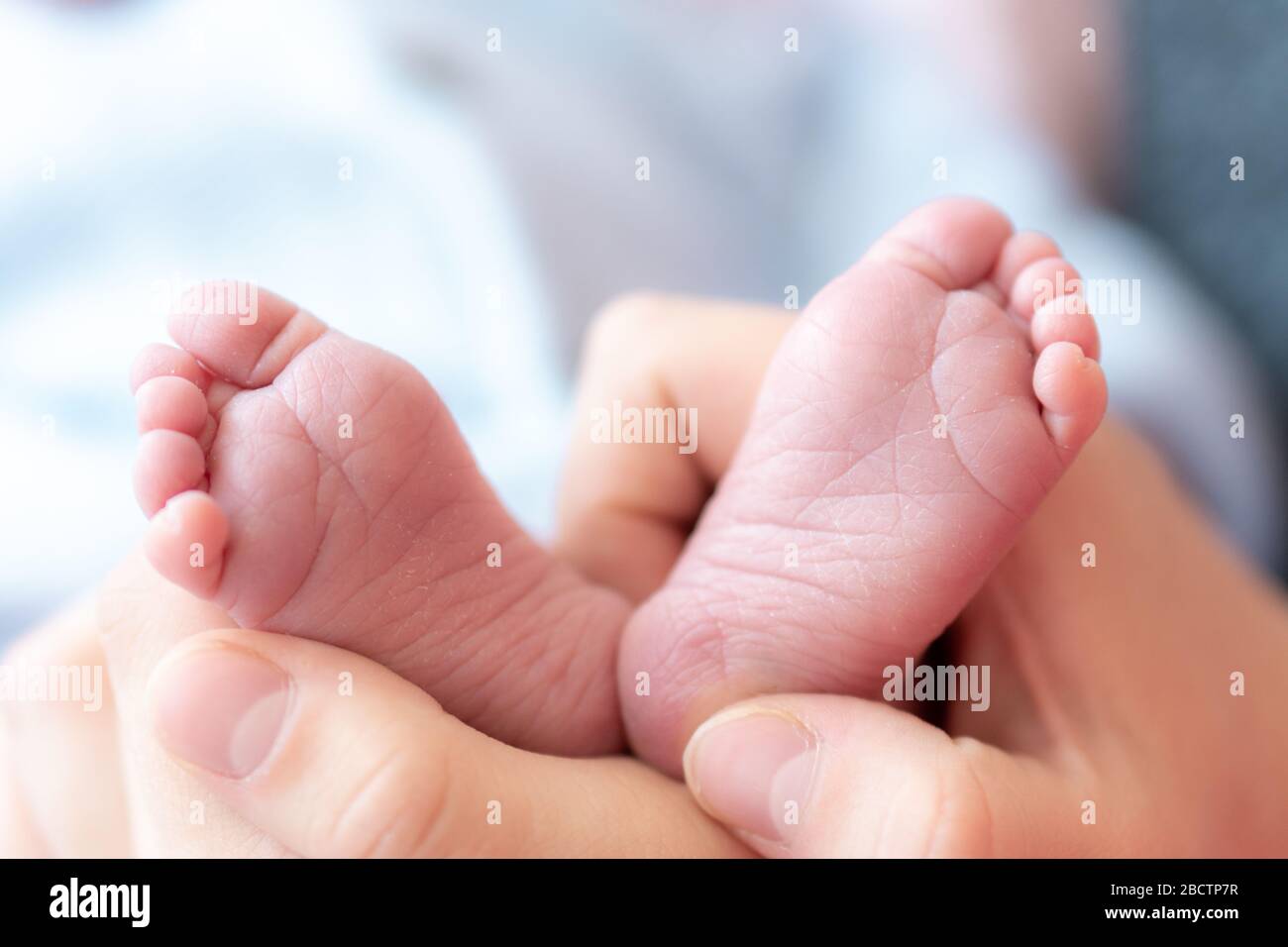 Feet of a newborn baby in mom's palms close. Close up of female hands