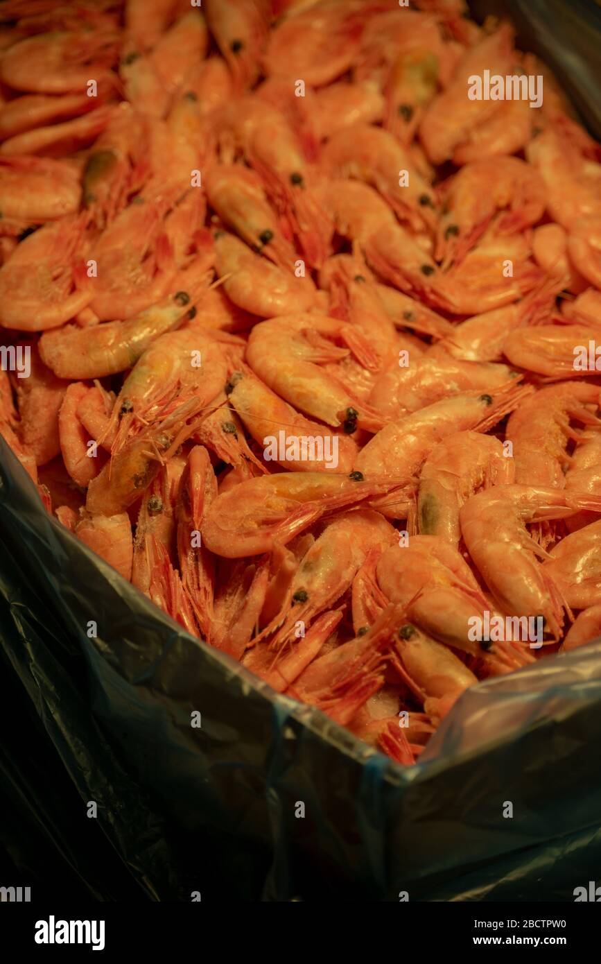Dried shrimp. Shrimps dry freeze. Food photography. Healthy foods Stock