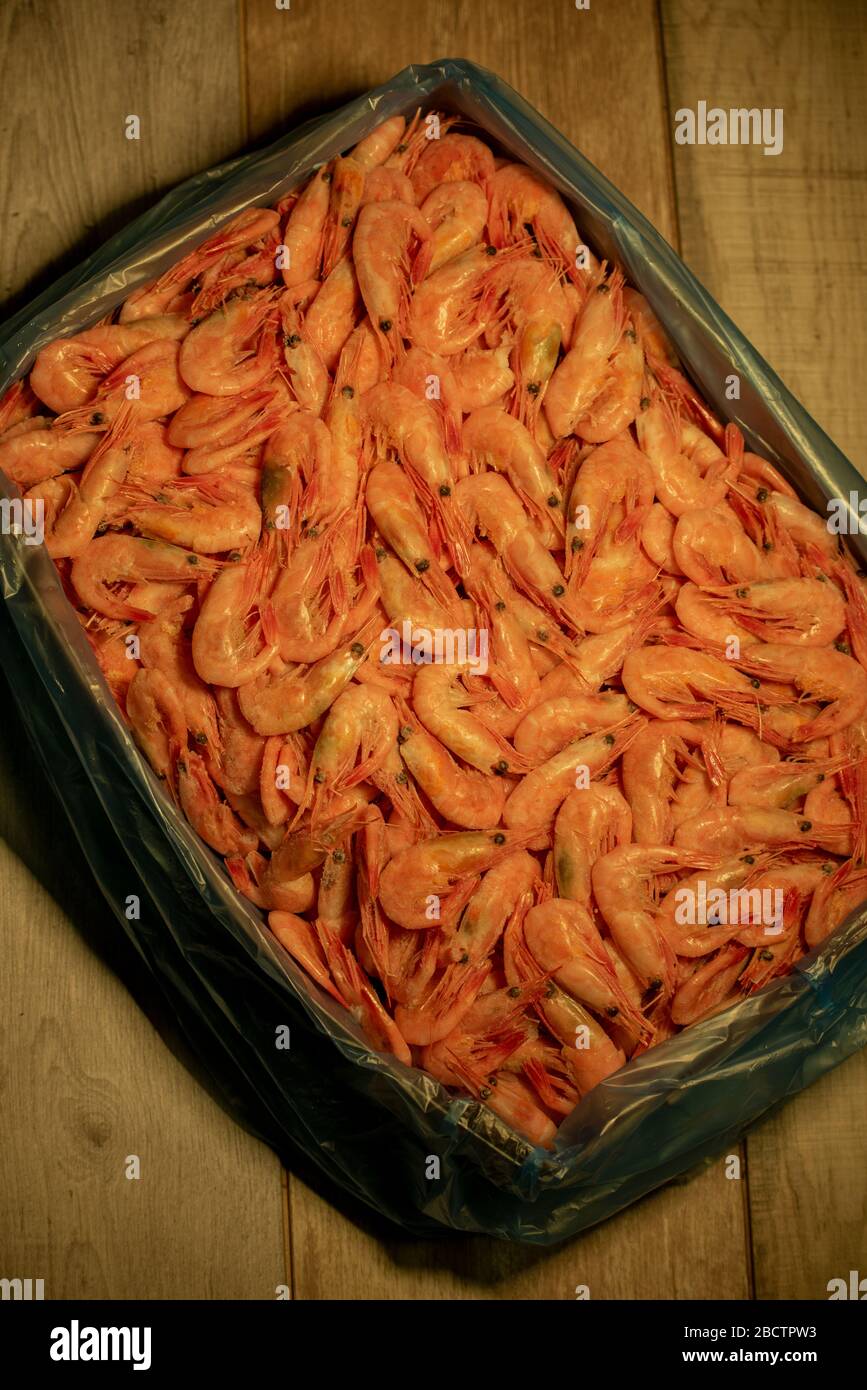 Dried shrimp. Shrimps dry freeze. Food photography. Healthy foods Stock