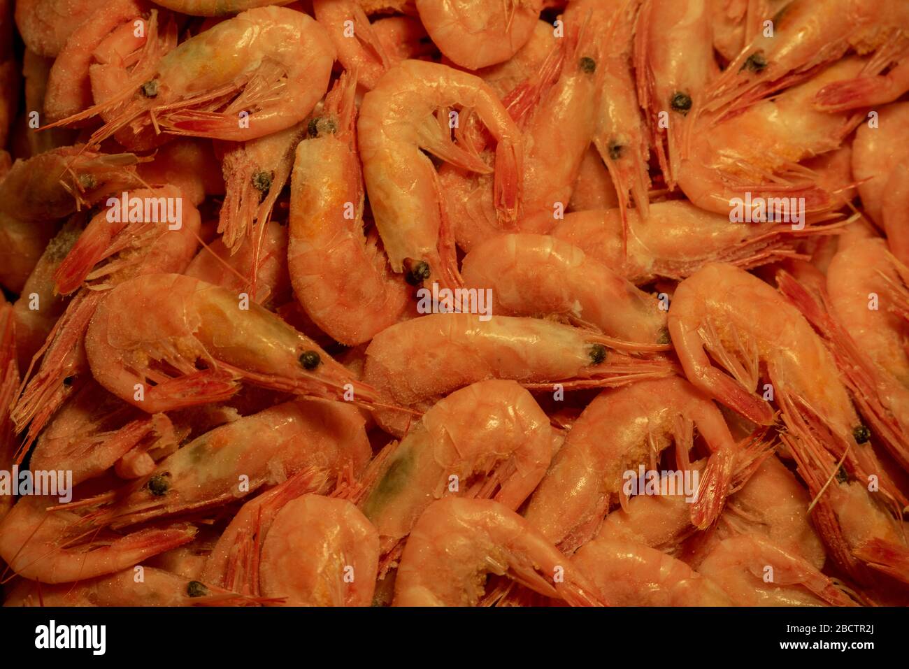 Dried shrimp. Shrimps dry freeze. Food photography. Healthy foods Stock
