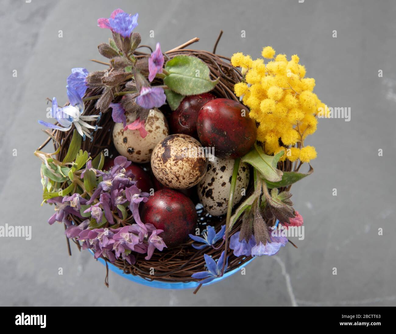 A blue glass bowl filled with colored quail eggs and spring flowers ...