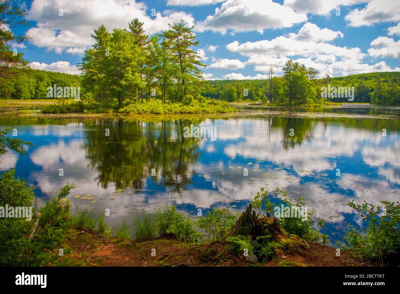 Harvard Pond, Petersham, MA Stock Photo Alamy