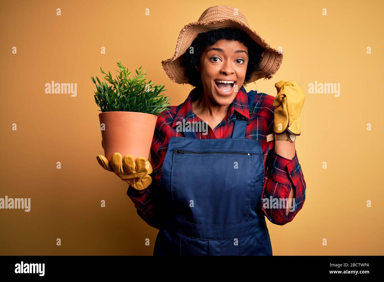 Young African American farmer woman with curly hair wearing apron holding pot with plants screaming proud and celebrating victory and success very exc Stock Photo