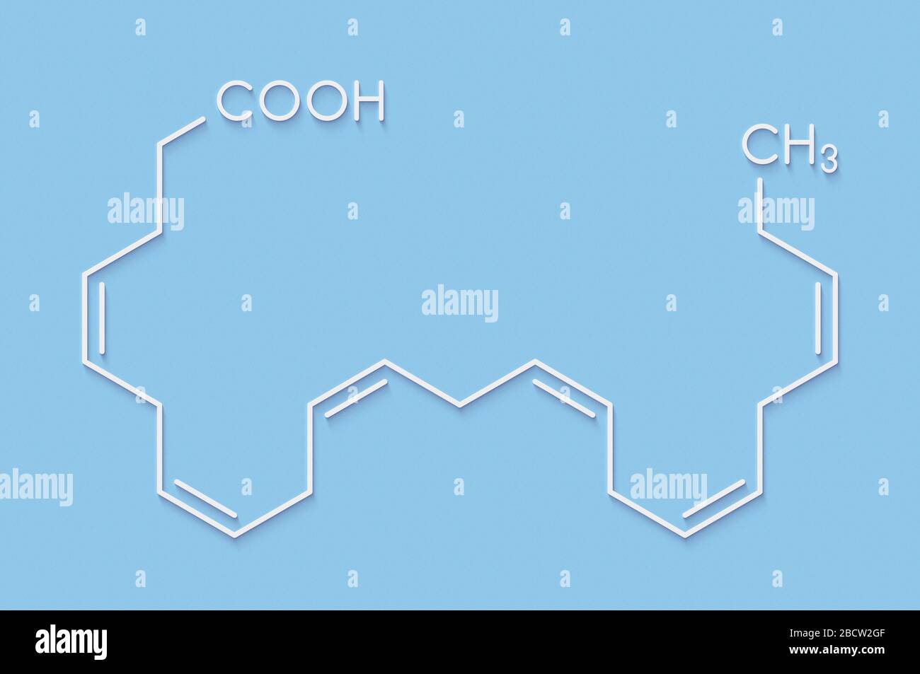 Docosahexaenoic acid (DHA, cervonic acid) molecule. Polyunsaturated