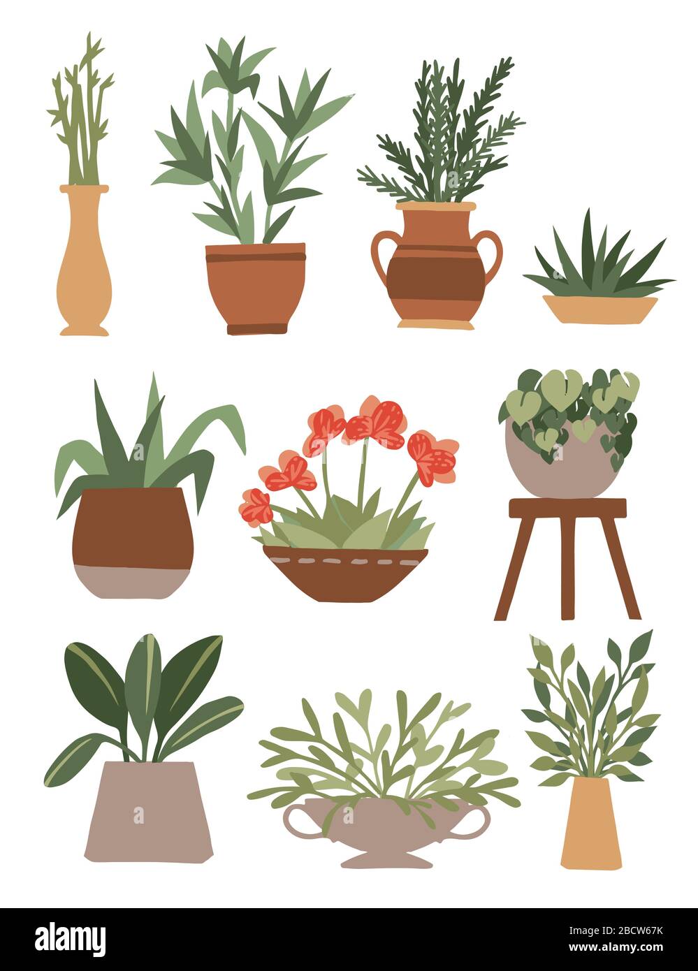 Home decorative and outdoor garden plants in pots set green plants flat