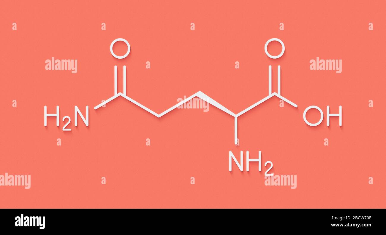 Glutamine (lglutamine, Gln, Q) amino acid molecule. Skeletal formula