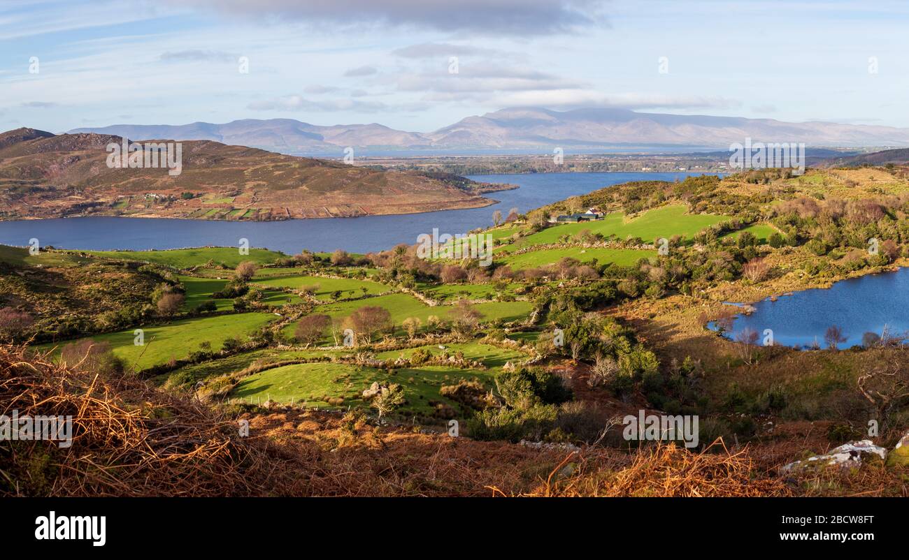 Panoramic view of Caragh Lake and Green Fields bathed in Evening Sunlight in County Kerry, Ireland Stock Photo