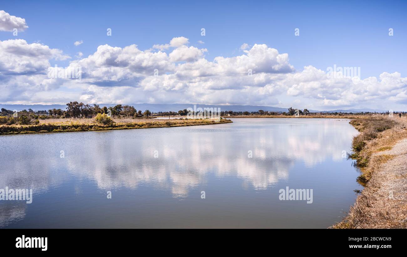 Sunny day on the shoreline of San Francisco Bay; white cumulus clouds reflected on the calm surface of a pond; Palo Alto, California Stock Photo