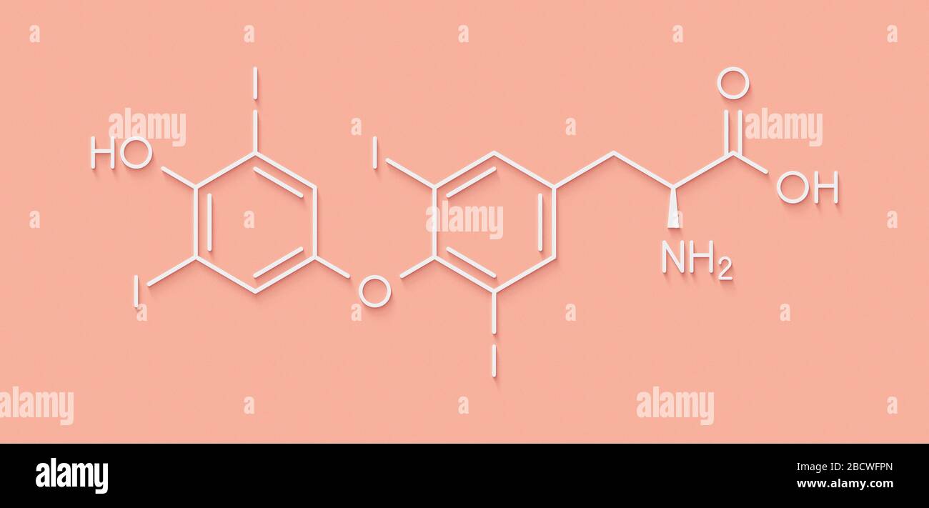 Thyroxine (T4, levothyroxine) thyroid hormone molecule. Prohormone of thyronine (T3). Used as drug to treat hypothyroidism. Skeletal formula. Stock Photo