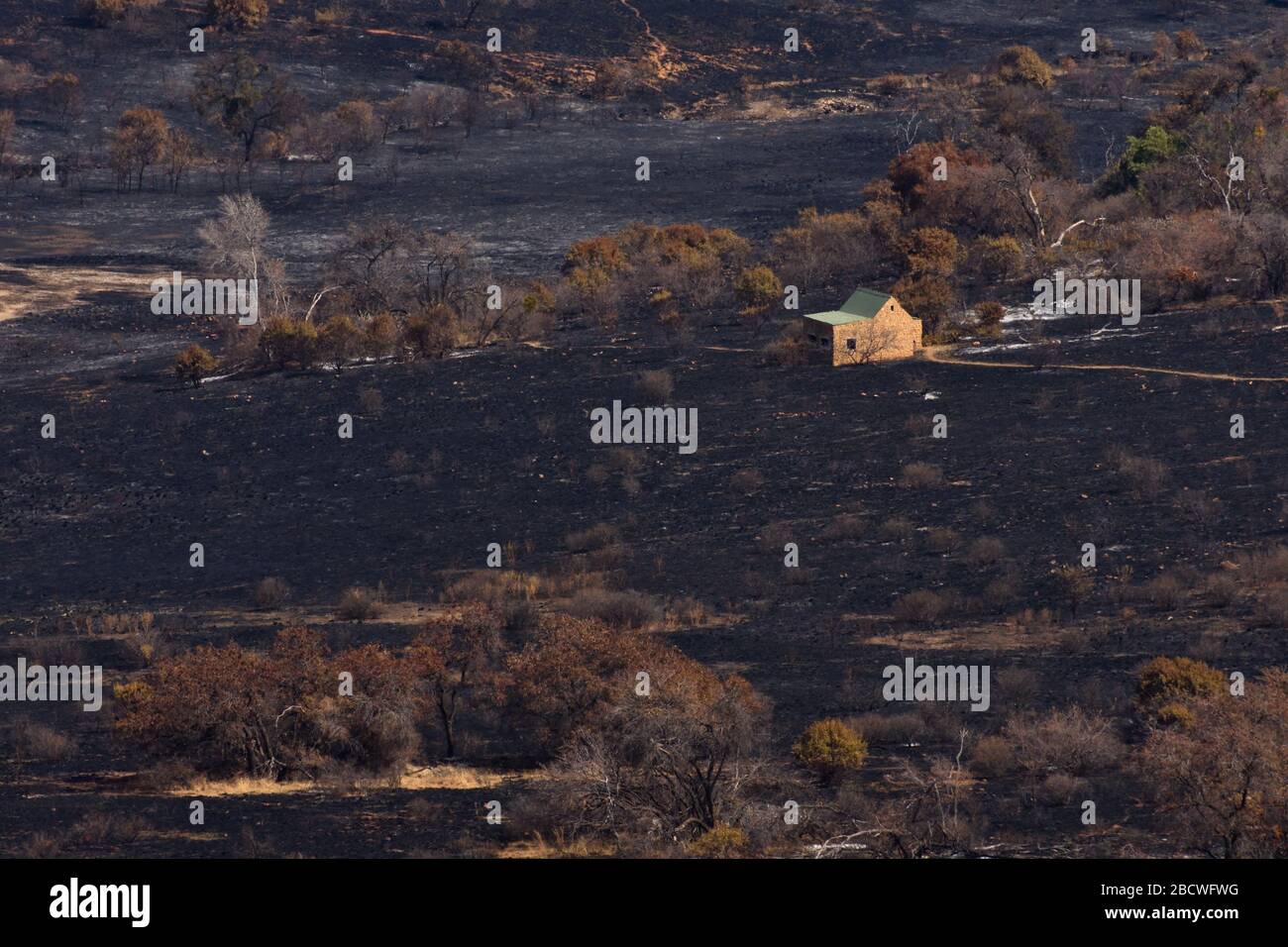 Burnt Countryside Farm Rural Bushfire Aftermath Stock Photo