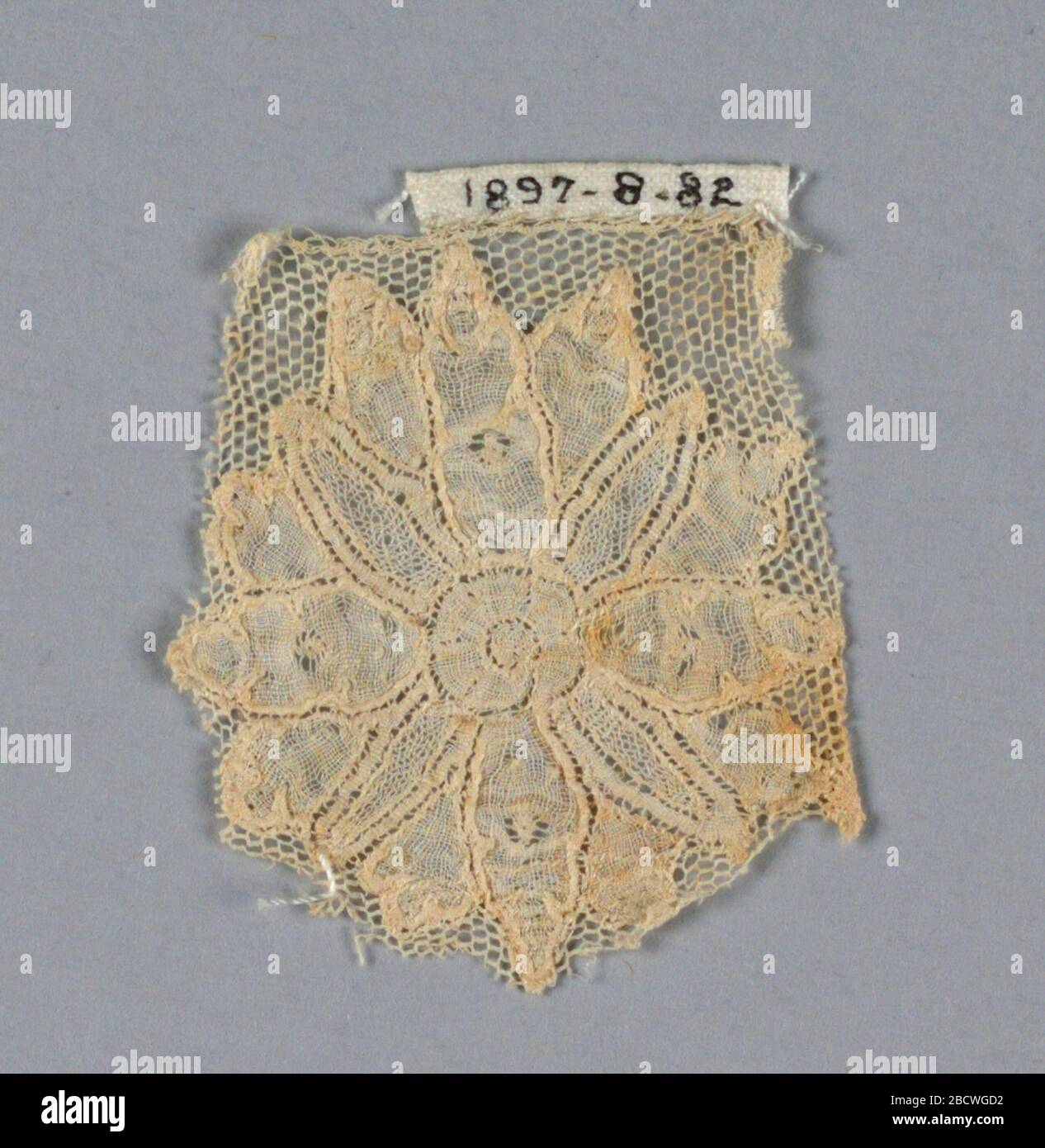 Fragment. Research in ProgressFragment has a single flowerhead mainly in clothwork with some petals containing decorative fillings. Vrai droschel ground. Fragment Stock Photo