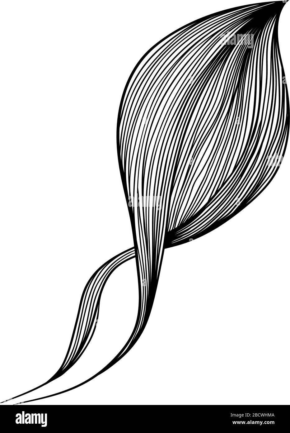 Abstract waves black and white line art decoration for wallpaper and