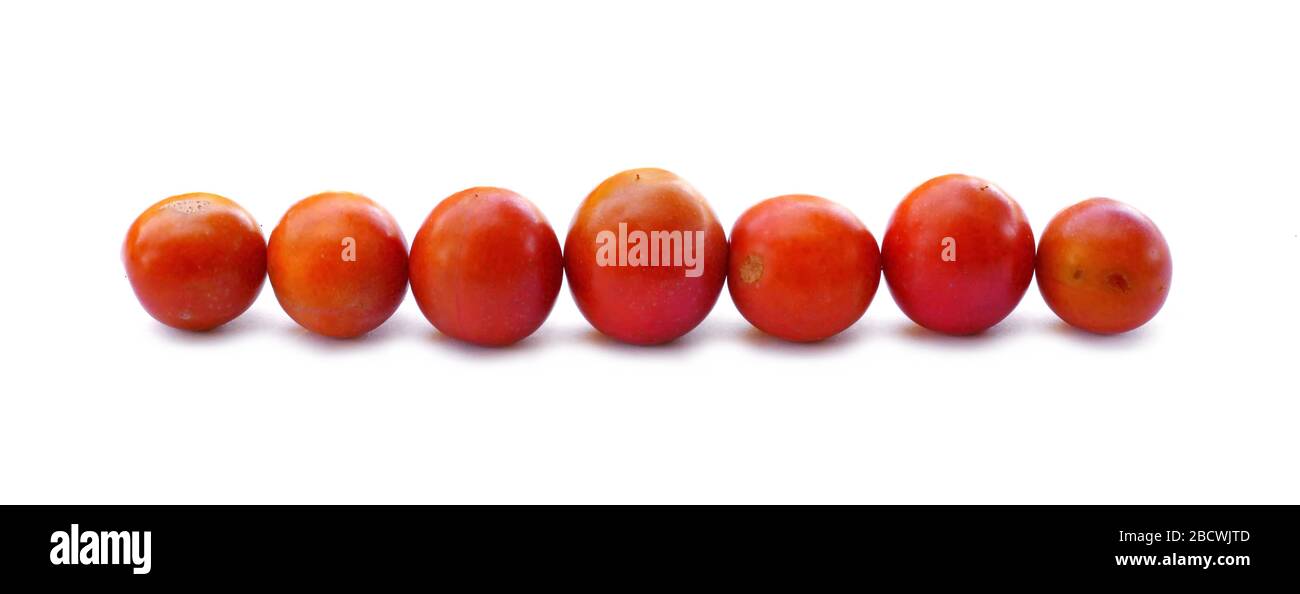 wild plums isolated on white background.. Stock Photo