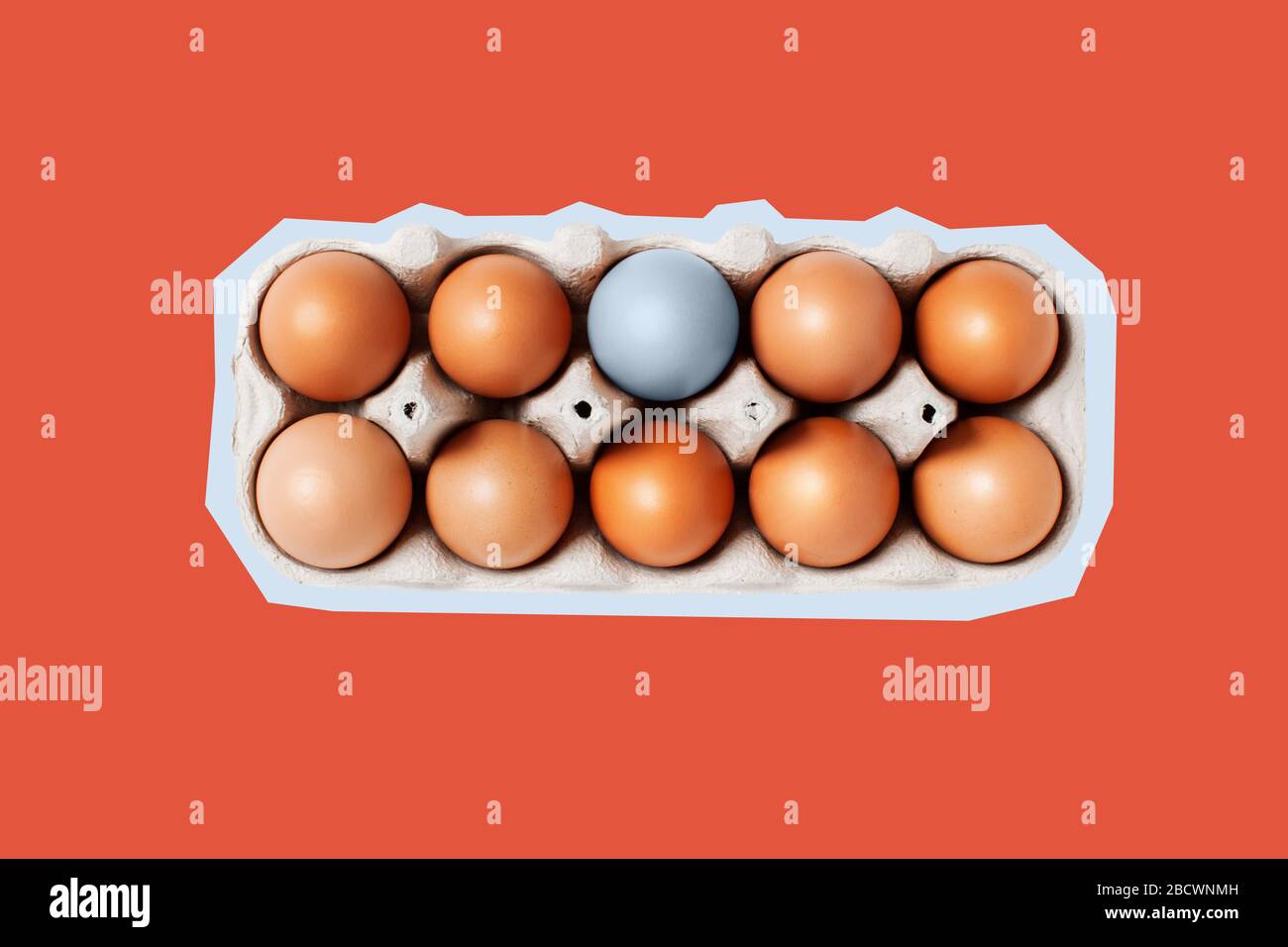 A dozen eggs in a box with one blue egg, top view. Minimalistic art concept. Stock Photo