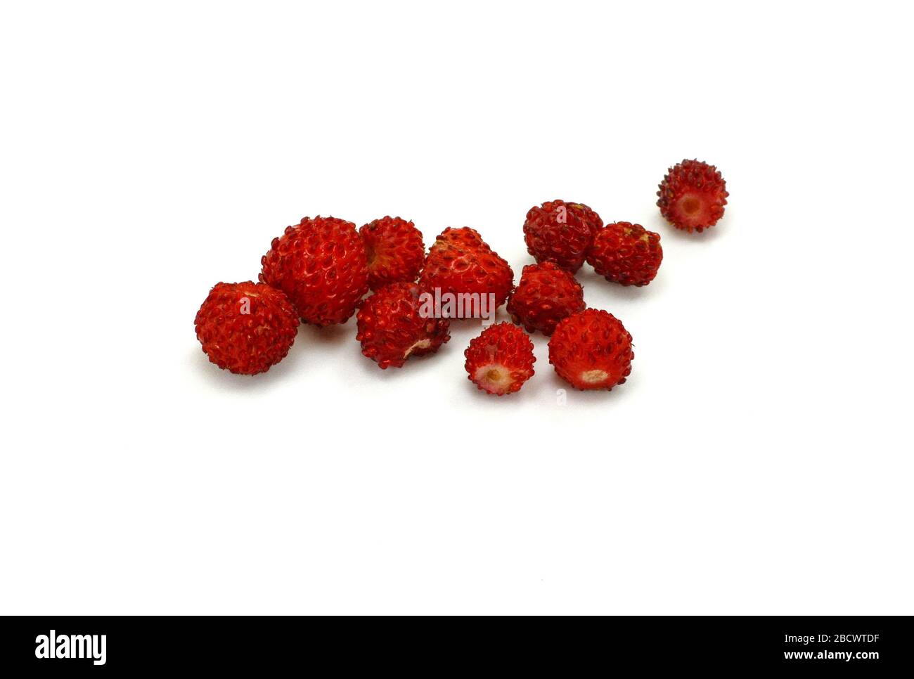 Wild strawberry isolated on white background closeup Stock Photo - Alamy