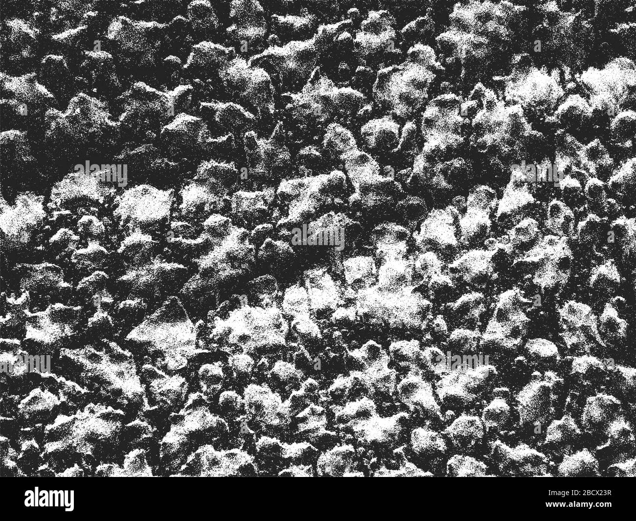 Astrakhan fur Black and White Stock Photos & Images - Alamy Astrakhan fur Black and White Stock Photos & Images - Alamy