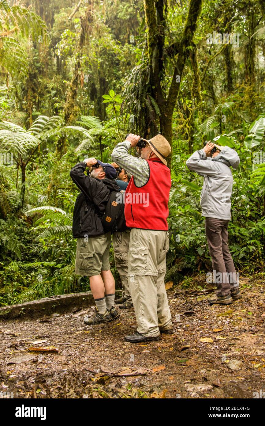 People bird-watching in Monteverde National Park, Costa Rica Stock Photo
