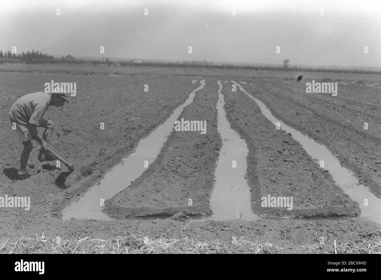 1 036 High Resolution Stock Photography And Images Page 5 Alamy