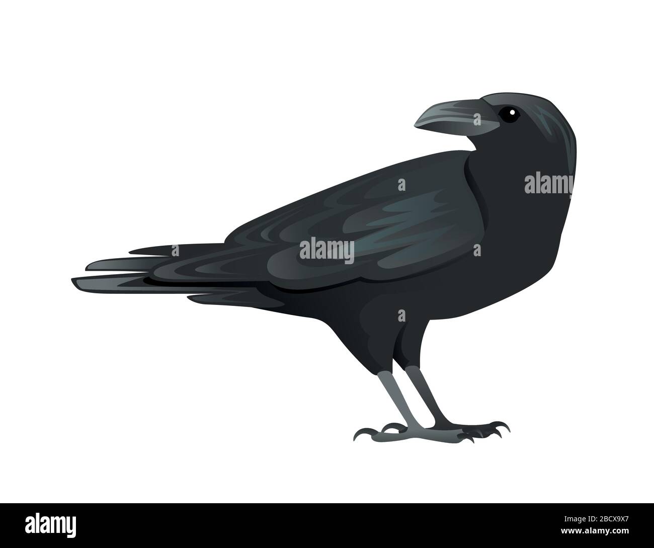 Black raven bird cartoon crow design flat vector animal illustration isolated on white background Stock Vector Image & Art - Alamy Black raven bird cartoon crow design flat vector animal illustration isolated on white background Stock Vector Image & Art - Alamy