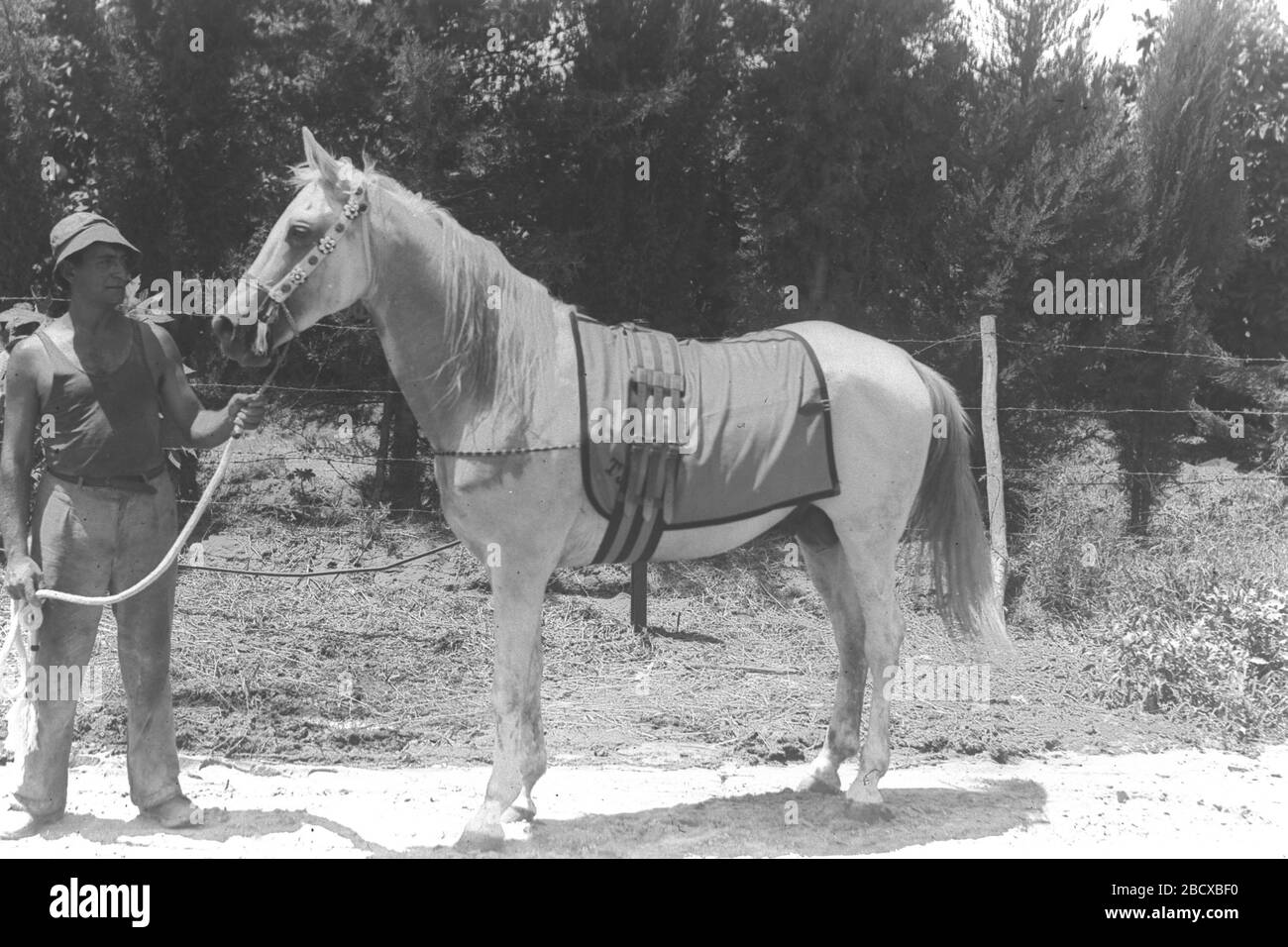 Kova Tembel High Resolution Stock Photography And Images Alamy