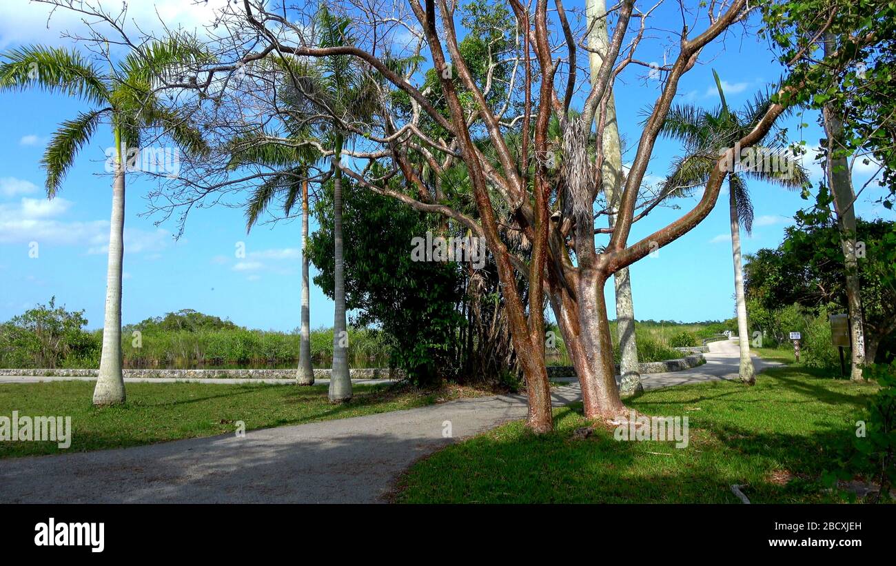 The beautiful scenery of the USA Keys Stock Photo - Alamy