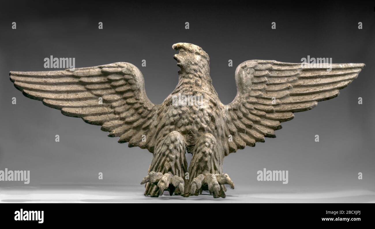 Eagle species characteristics hi-res stock photography and images - Alamy