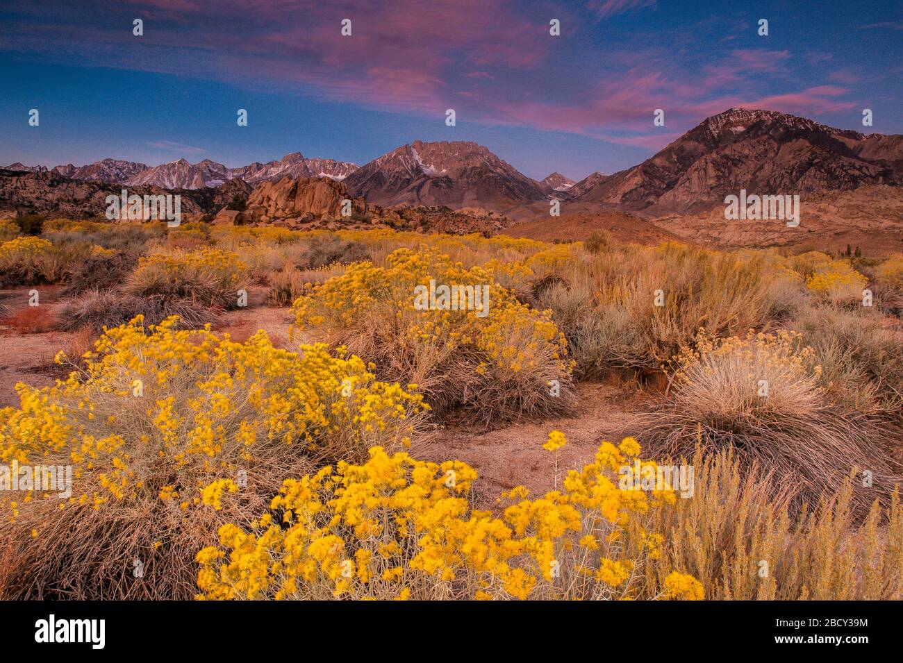Dawn, Rabbitbrush, The Buttermilks, Basin Mountain, Piute Peak, Mount Tom, Creek National